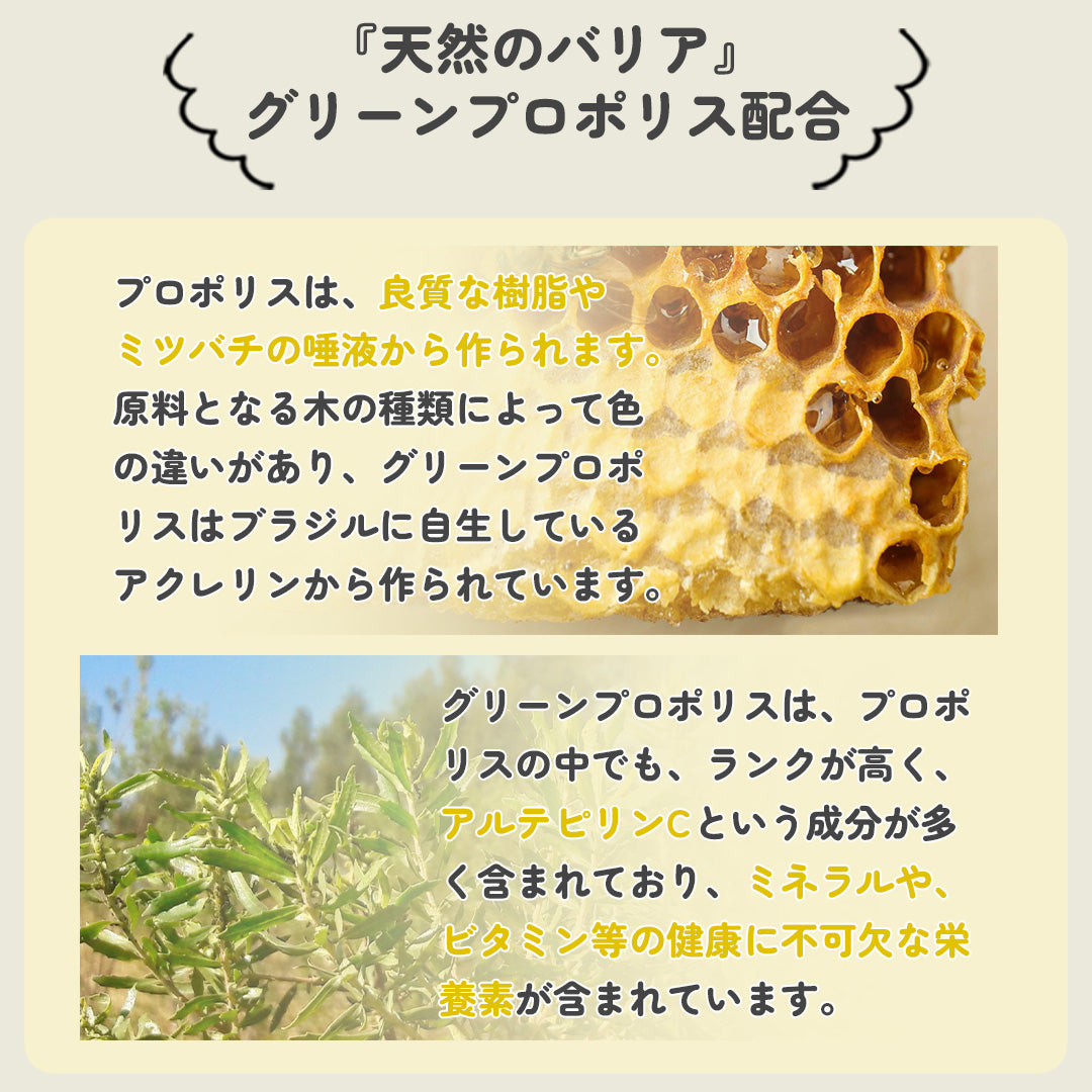 宅急便コンパクト詰め詰め18袋セット】マヌカハニーのど飴｜あなたの